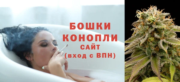 шишки Заволжье