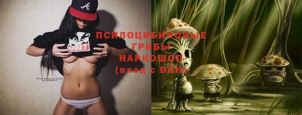 эйфоретик Горняк