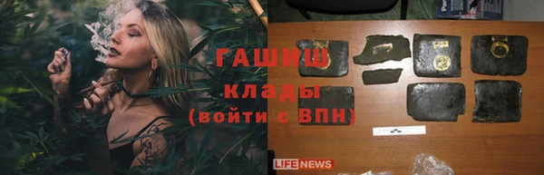 гидра Горно-Алтайск