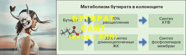 гидра Горно-Алтайск