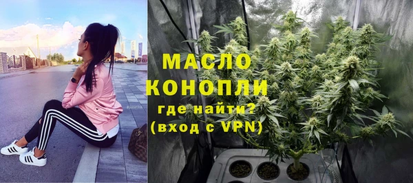 гидра Горно-Алтайск