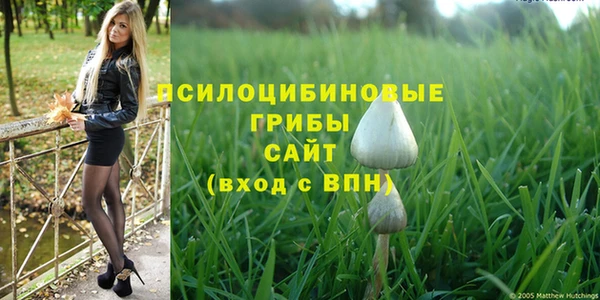 эйфоретик Горняк