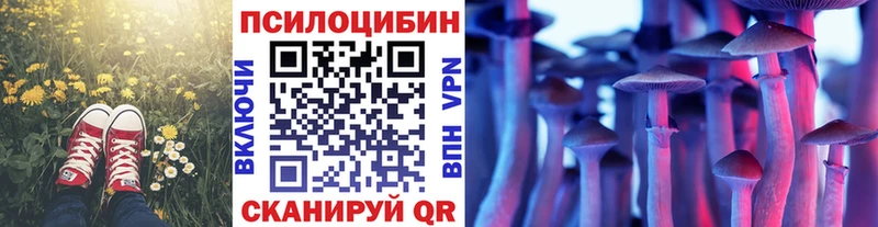 Псилоцибиновые грибы мухоморы  Купить закладки  Кумертау 